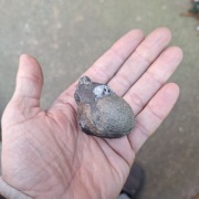 Piryt konkrecja pirytowa z Gór Kaczawskich