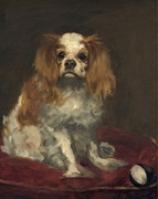 Eduard Manet - A King Charles Spaniel  - 100x70 cm, NOWY, NA RAMIE, W FOLII