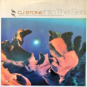 CJ Stone – Into The Sea [2001] [Winyl]