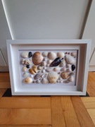 Obraz z naturalnych muszelek w ramce