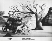 COLARGOL NA DZIKIM ZACHODZIE fotografia fotos UNIKAT !!!