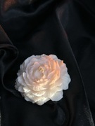 Świeca dekoracyjna sojowa – Piwonia