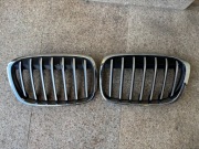 BMW X1 F48 atrapa grill nerka