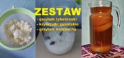 Grzybek tybetański + algi japońskie + kombucha | ZESTAW prebiotyków