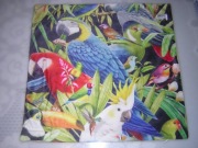 Poszewka powłoczka na poduszkę jasiek ara żako