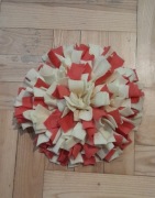 Mata węchowa dla psa 25cm 