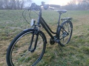 Rower KROSS Trans 1.0