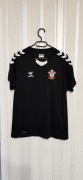 Koszulka t-shirty piłkarska Southampton FC od renomowanej marki Hummel. 