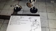 Wizards of the Coast Dungeons & Dragons Warrior Skeleton (2 modele) +karta
