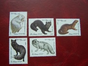 ZSRR 1980 MNH Mi. 4968/72 Fauna Zwierzęta