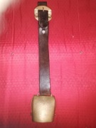 Dzwon alpejski na pasie