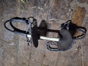 Pelham gumowy equimouth waldhausen 135