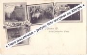 GNIEWKOWO ARGENAU k. Inowrocław Bydgoszcz Hotel Deutsches Haus wnętrza 1909
