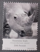 Polska 4060 Biały nosorożec ZOO Poznań 2005