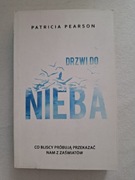 Drzwi do nieba Pearson Patricja