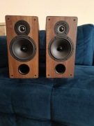 Indiana line Tesi 261