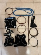 4 Szelki dla Psa XL, M, S, 2 Smycze, 5 Obroży i Regulowany Kaganiec