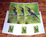 Autorski Kalendarz 2025 Ptaki A3 12 kart