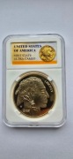 Amerykański Bizon Liberty 1 oz gold 2023
