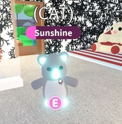 Adopt Me Roblox FR Neon Koala