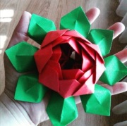 Personalizowany kwiat lotosu origami