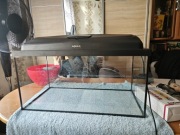 Akwarystyka akwarium 60l.