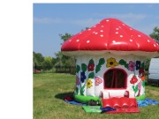 zamek dmuchane - suchy basen