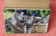 Kotki - drewniana skrzyneczka 