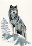 Obraz ręcznie malowany "Wilk" +rama