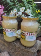 Sprzedam polski miód z własnej pasieki w pojemnikach 40 kg