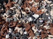 Figurki Schleich Panda,słoń,tygrys itd …