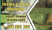 Trawa w rolce PREMIUM Łuków