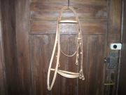 Ogłowie wierzchowe za nachrapnikiem hannowerskim