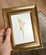 Oryginalny obraz z delikatnym pastelowym kwiatem Akwarela