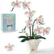 Białe storczyki- klocki