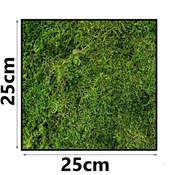 | MECH PŁASKI 25x25 cm| żywy naturalny dekoracyjny