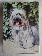 Zapałki kolekcjonerskie piesek . Duże . Francja. 