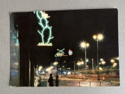 Warszawa nocą vintage neon motyw kaktusa