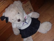 Podaruj misia TVN Gosia 9 edycja Nowy z metką