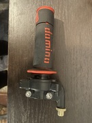 Rolgaz oraz manetki domino