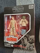 Star Wars Black Series Luke Skywalker & Yoda (Jedi Training)