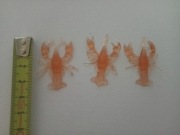 Silikonowy wabik na ryby