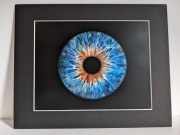 Grafika makro Tęczówka ludzkiego oka 28x35 Nowy