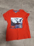 Bluzka chłopięca na krótki rękaw so cute rozm. 98 cm