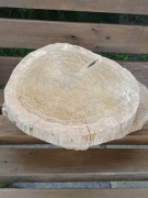 Plaster plastry dąb dębowy naturalny cena za 10 sztuk 20 cm 25 cm 30 cm 