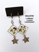 Kolczyki z gwiazdkami i prawdziwymi roślinami 