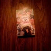 Najlepsza gra o psach 