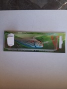 Wobler DORADO INVADER Tonący B 7cm / 10 g NOWY