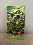 Kolendra Siewna 1G Vita