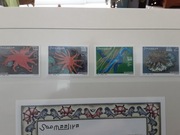 Somalia 2001  Mi 896-9 seria  rozgwiazdy idealna pozycja 